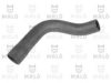 FIAT 4200511 Radiator Hose